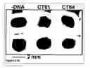 Fig. 41 - Methods for making and imaging arrays that comprise a plurality of different biomolecules