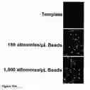 Fig. 45 - Methods for making and imaging arrays that comprise a plurality of different biomolecules