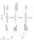 Fig. 02 - SUPRAMOLECULAR NANOSTAMPING PRINTING DEVICE