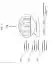 Fig. 04 - SUPRAMOLECULAR NANOSTAMPING PRINTING DEVICE