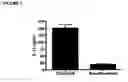 Fig. 03 - TH-17 CELLS