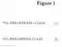 Fig. 02 - Conjugate Molecule Compounds With Enhanced Cell Uptake Activity