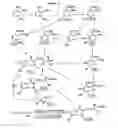 Fig. 02 - Fibrinogen receptor antagonists and their use