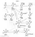 Fig. 07 - Fibrinogen receptor antagonists and their use