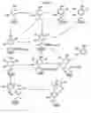 Fig. 08 - Fibrinogen receptor antagonists and their use