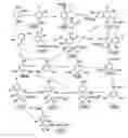 Fig. 09 - Fibrinogen receptor antagonists and their use