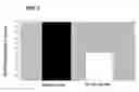 Fig. 03 - Catecholic butanes and use thereof for cancer therapy