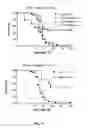 Fig. 06 - SYSTEMS, METHODS AND COMPOSITIONS FOR REDUCTION OF INJURY FROM RADIATION EXPOSURE