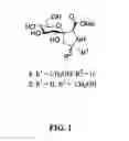 Fig. 02 - Peptide-Based Beta Turn Mimetics