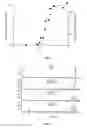 Fig. 02 - Method of hydrolysis of peptide bond