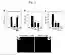 Fig. 04 - TREATMENT OF INFLAMMATION USING ALPHA 7 RECEPTOR-BINDING CHOLINERGIC AGONISTS