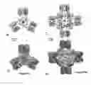 Fig. 01 - PROTEIN NODES FOR CONTROLLED NANOSCALE ASSEMBLY