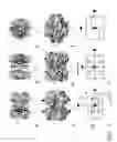 Fig. 02 - PROTEIN NODES FOR CONTROLLED NANOSCALE ASSEMBLY