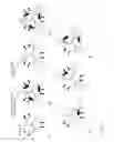 Fig. 06 - PROTEIN NODES FOR CONTROLLED NANOSCALE ASSEMBLY