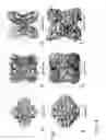 Fig. 15 - PROTEIN NODES FOR CONTROLLED NANOSCALE ASSEMBLY