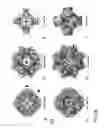 Fig. 19 - PROTEIN NODES FOR CONTROLLED NANOSCALE ASSEMBLY