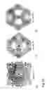 Fig. 21 - PROTEIN NODES FOR CONTROLLED NANOSCALE ASSEMBLY