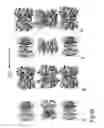 Fig. 29 - PROTEIN NODES FOR CONTROLLED NANOSCALE ASSEMBLY