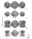 Fig. 31 - PROTEIN NODES FOR CONTROLLED NANOSCALE ASSEMBLY