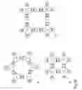 Fig. 37 - PROTEIN NODES FOR CONTROLLED NANOSCALE ASSEMBLY