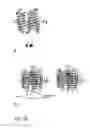 Fig. 56 - PROTEIN NODES FOR CONTROLLED NANOSCALE ASSEMBLY
