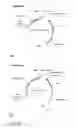 Fig. 57 - PROTEIN NODES FOR CONTROLLED NANOSCALE ASSEMBLY