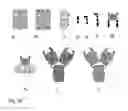 Fig. 69 - PROTEIN NODES FOR CONTROLLED NANOSCALE ASSEMBLY