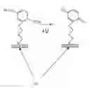 Fig. 01 - SURFACE MODIFICATION OF NANOSENSOR PLATFORMS TO INCREASE SENSITIVITY AND REPRODUCIBILITY