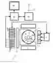 Fig. 02 - Simultaneous multinuclear magnetic resonance imaging