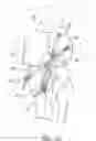 Fig. 09 - Method and apparatus for performing ACL reconstruction