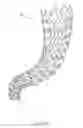 Fig. 02 - Modular stent assembly