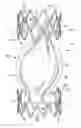 Fig. 01 - Device for regulating blood flow