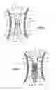 Fig. 02 - Kit for processing a blood circulation pipe