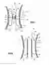 Fig. 04 - Kit for processing a blood circulation pipe