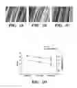 Fig. 02 - SERICIN EXTRACTED FABRICS