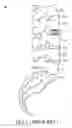 Fig. 02 - Spinal cage and implanting method thereof