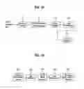 Fig. 22 - Method of processing traffic information and digital broadcast system