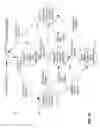 Fig. 12 - TV widget multiview content organization
