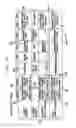 Fig. 16 - Surfer's Paradise