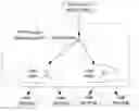 Fig. 01 - CONTENT PUBLISHING AND STORING METHOD FOR THE INTERACTIVE PERSONAL TELEVISION MEDIA DELIVERY SYSTEM