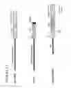 Fig. 02 - DNA regulatory element for the expression of transgenes in neurons of a subject and uses thereof