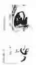 Fig. 06 - DNA regulatory element for the expression of transgenes in neurons of a subject and uses thereof