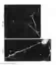 Fig. 08 - DNA regulatory element for the expression of transgenes in neurons of a subject and uses thereof
