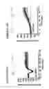 Fig. 33 - DNA regulatory element for the expression of transgenes in neurons of a subject and uses thereof