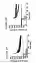 Fig. 35 - DNA regulatory element for the expression of transgenes in neurons of a subject and uses thereof