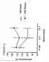 Fig. 49 - DNA regulatory element for the expression of transgenes in neurons of a subject and uses thereof