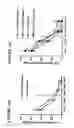 Fig. 55 - DNA regulatory element for the expression of transgenes in neurons of a subject and uses thereof