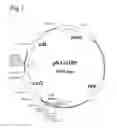 Fig. 02 - METHODS FOR GENERATING MARKER-FREE TRANSGENIC PLANTS