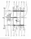 Fig. 01 - DOUBLE CLUTCH TRANSMISSION