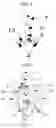 Fig. 06 - Mechanical machine designed to utilize unbalanced torque to enhance angular momentum